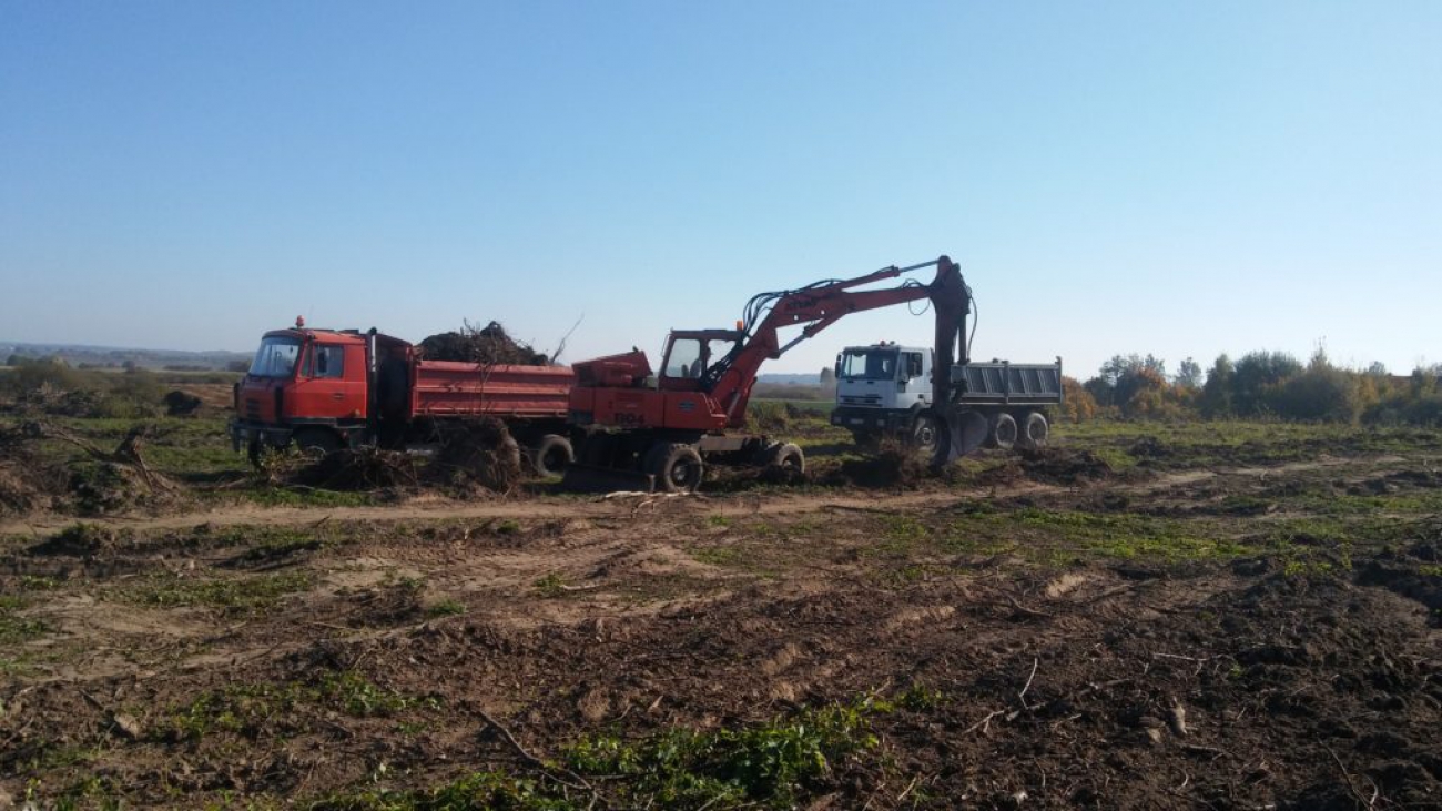 Usuwanie karp Ignalin Firma Budowlana GreenBud 6