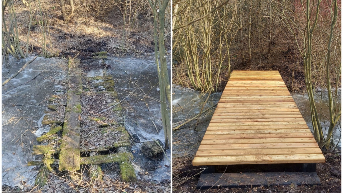 275074547_1037091683824229_4644488403334794949_n